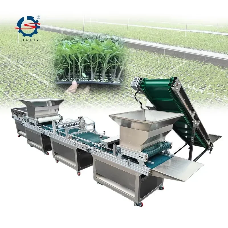 Drilling Seedling Nursery Line Automatic Vegetable Seeder Seed Sowing Machine