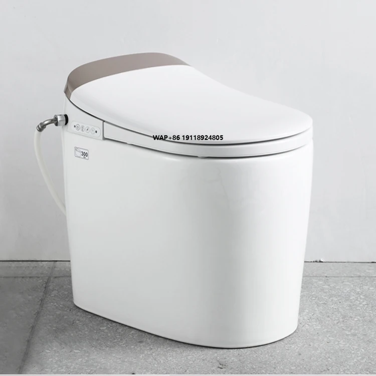 Deodorization Dual Nozzles Sanitary Ware Intelligent Smart Toilet