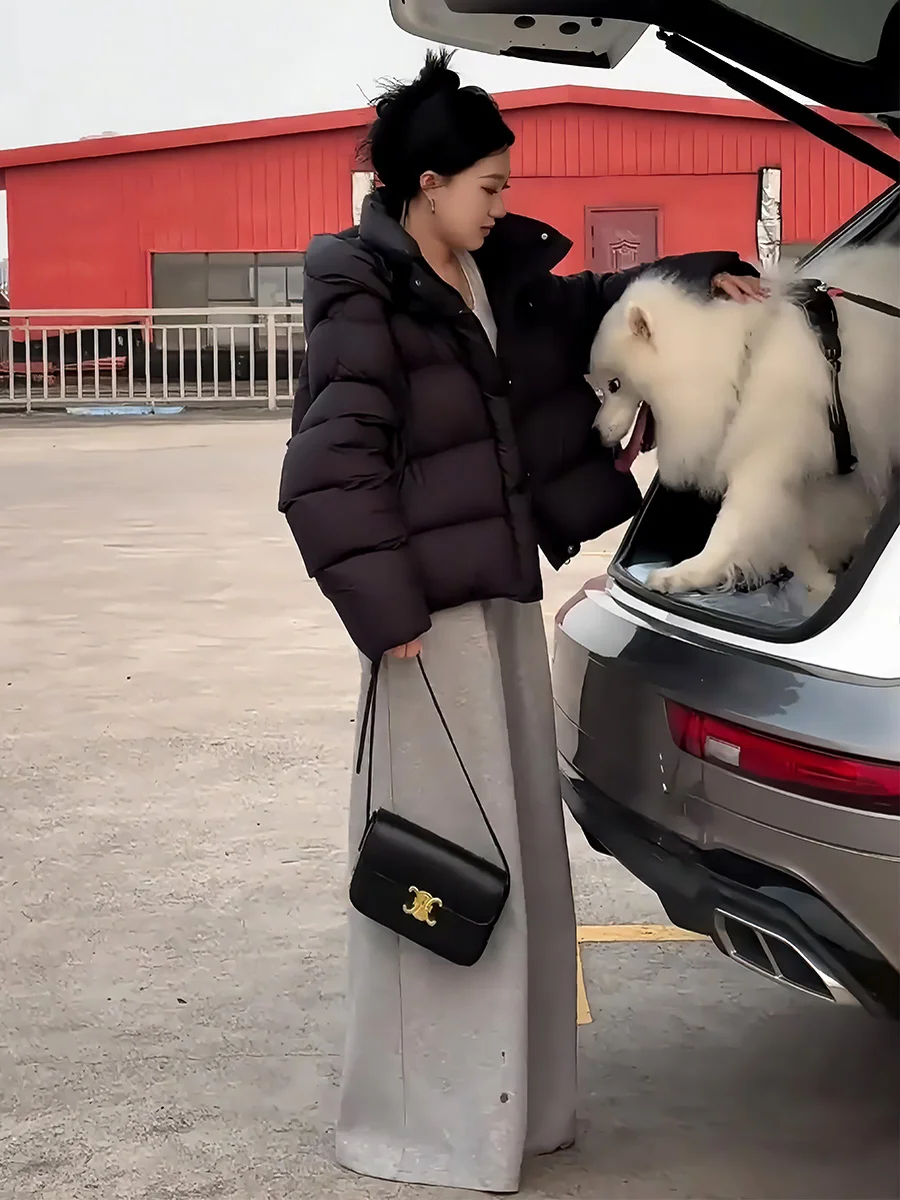 Abrigo cálido de plumón blanco para mujer, abrigo cálido con capucha, para ir al trabajo, sin marca registrada, invierno 2024