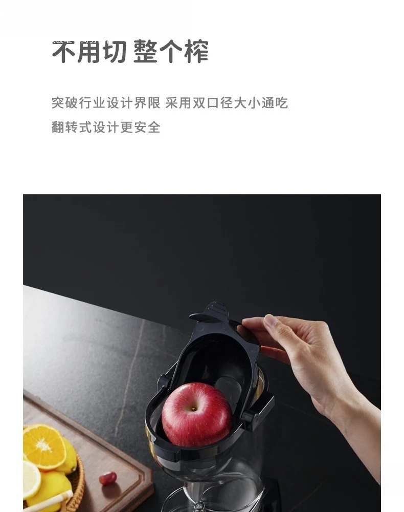 スラグジューサー 家庭用ジュースマシン 業務用 ドイツ製 分離機能付き 多機能 大容量 ステンレス製 大口径