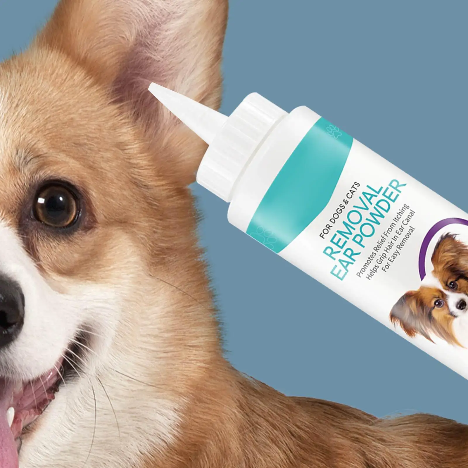 #7 Dog Diapers Comparison Guide