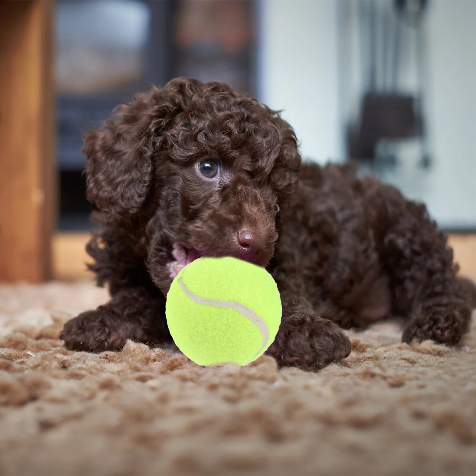 

8 Pcs Tennis Practice Ball Beginner Balls Dog Bulk Skills Improvement Regular Duty Interactive Rubber for Dogs
