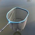 50cm