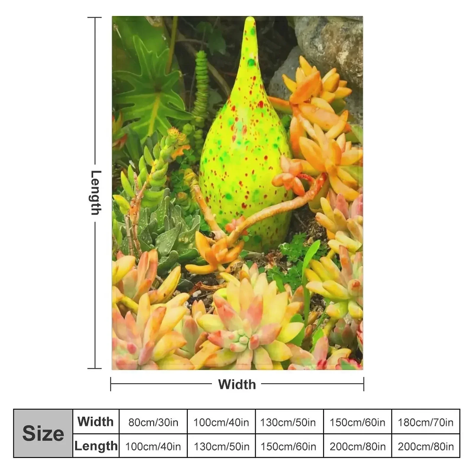 Contemporary, Colorful Succulents in Vintage Clay Pot Art Photo Throw Blanket couch cozy soft plush fuzzy picnic outdoor blanket