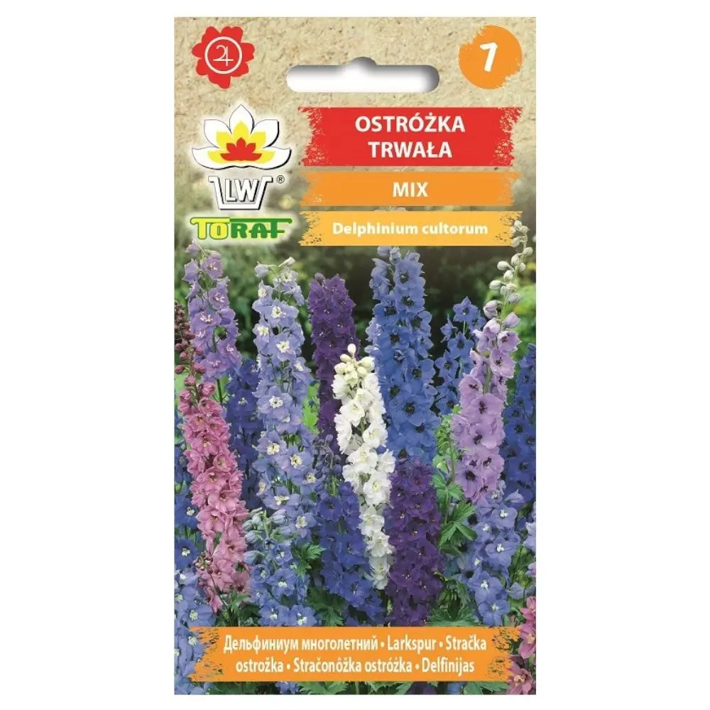 Graines d'Ostróżka, mélange de couleurs persistantes, plantes vivaces pour jardins ensoleillés, inflorescences hautes de 70 à 100 cm