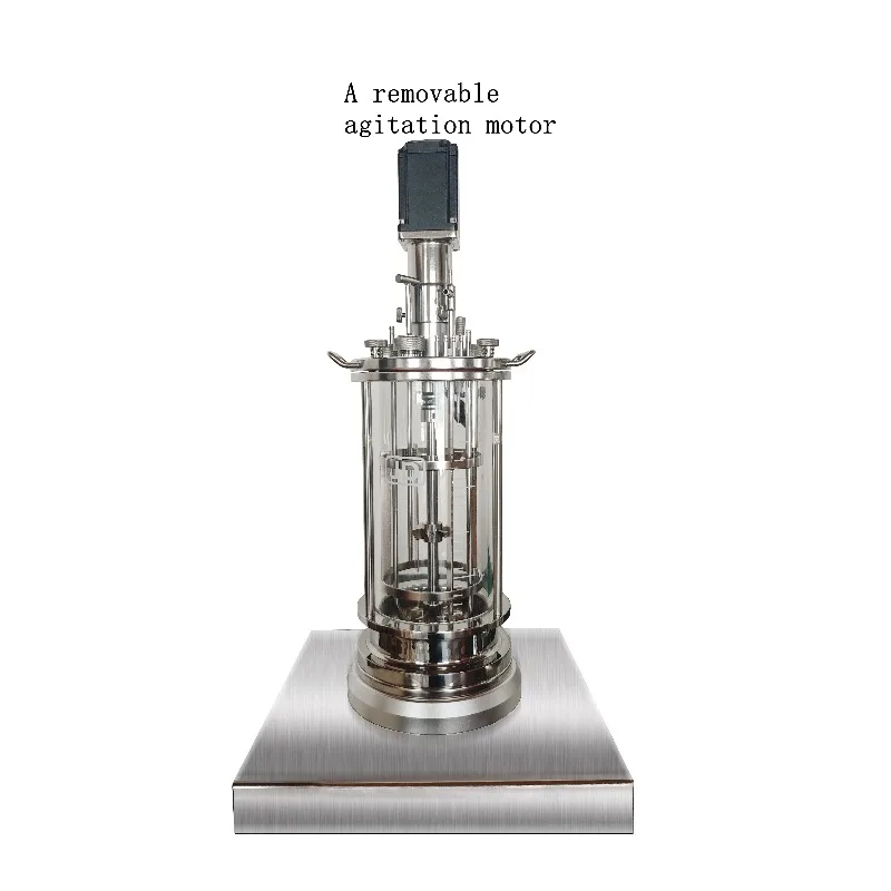 OEM/ODM Fermenter Premium Glass Fermenter with Airlock for Home Brewing & Kombucha Fermentation