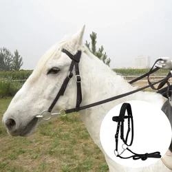 Durable Horse Bridle Horse Rein Headstall 20 Mm PP Webbing Thickened Halter Equestrian Gear For Outdoor Riding Training LT5000