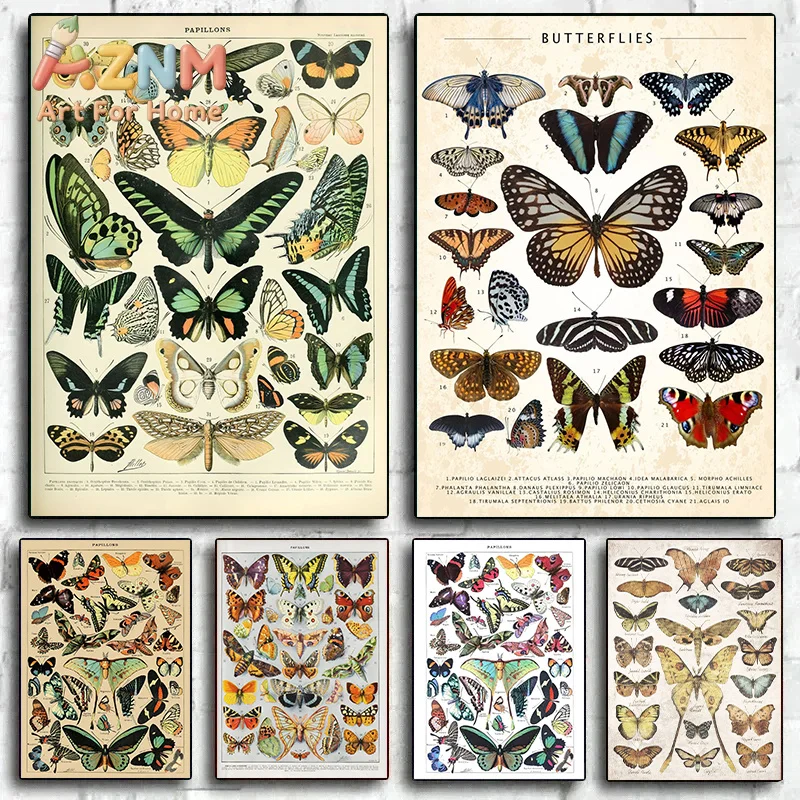 Vintage Butterfly And Insects Collection Chart Poster Canvas Painting Retro Aesthetic Art Wall Picture Living Room Home Decor