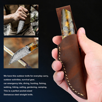 XITUO Fixed Blade Hunting Knife Fruit Knife Damascus Steel Blade Stable Wooden Handle with Leather Sheath for Outdoor Camping