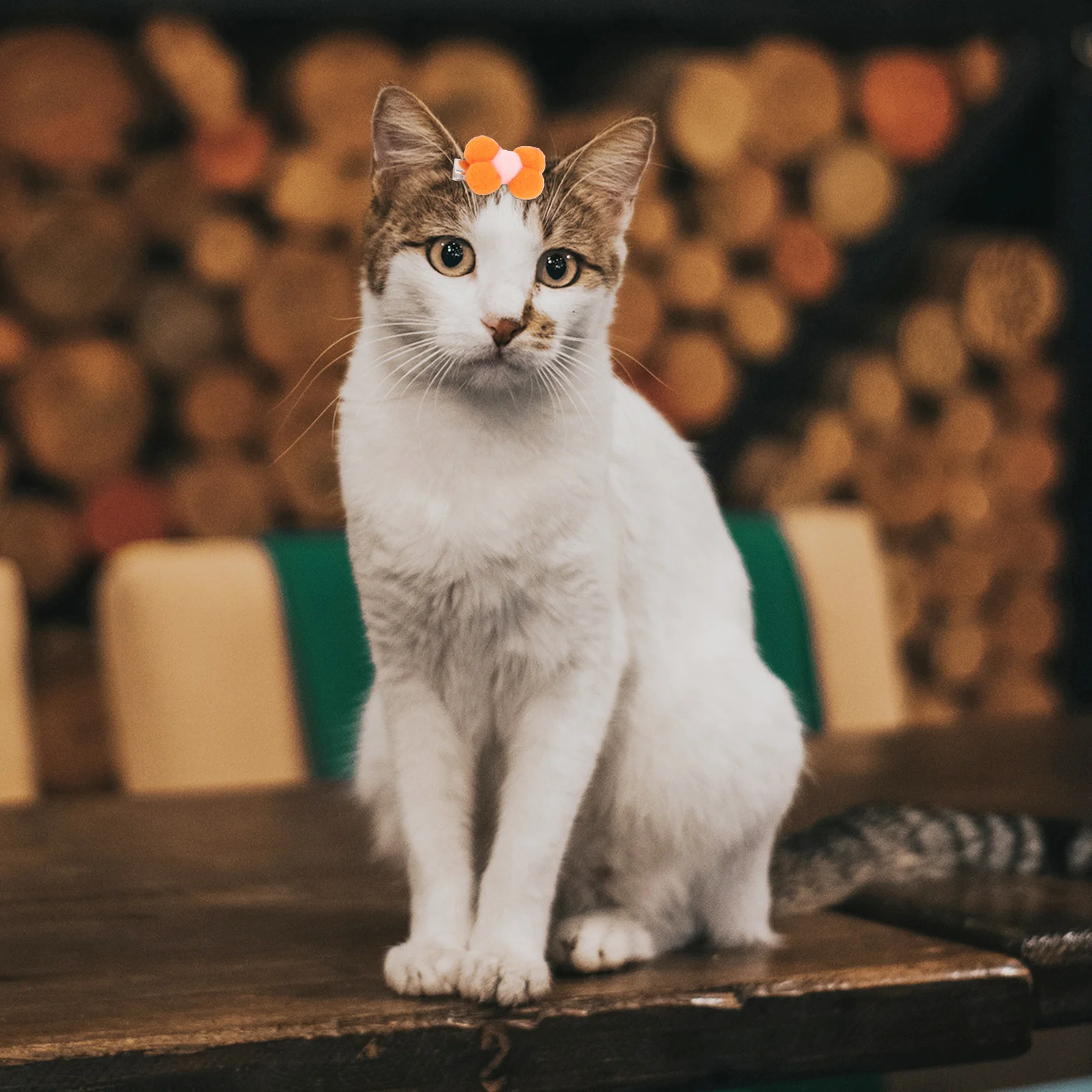 

10Pcs Pet Hair Bows Clips Bowknot Puppy Cat Headdress Durable Lightweight Time Pet Hair Bow Bowknot Clip for Dog