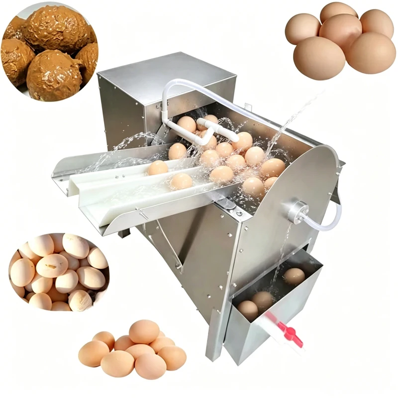 Custom Commercial Industrial Egg Washer Automatic Water Spray Roller Brush Cleaning Stainless Steel for Duck Egg Processing