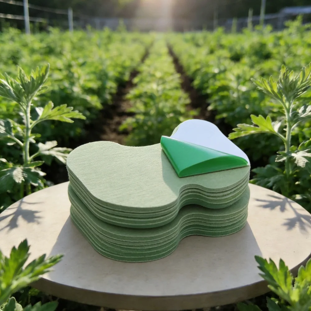 6/36/60/72/120Pcs K…