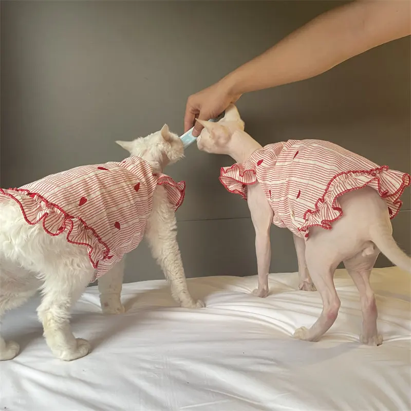 Vestido de algodón para gatos Devon Rex y Sphynx con cuello de encaje - imagen 4