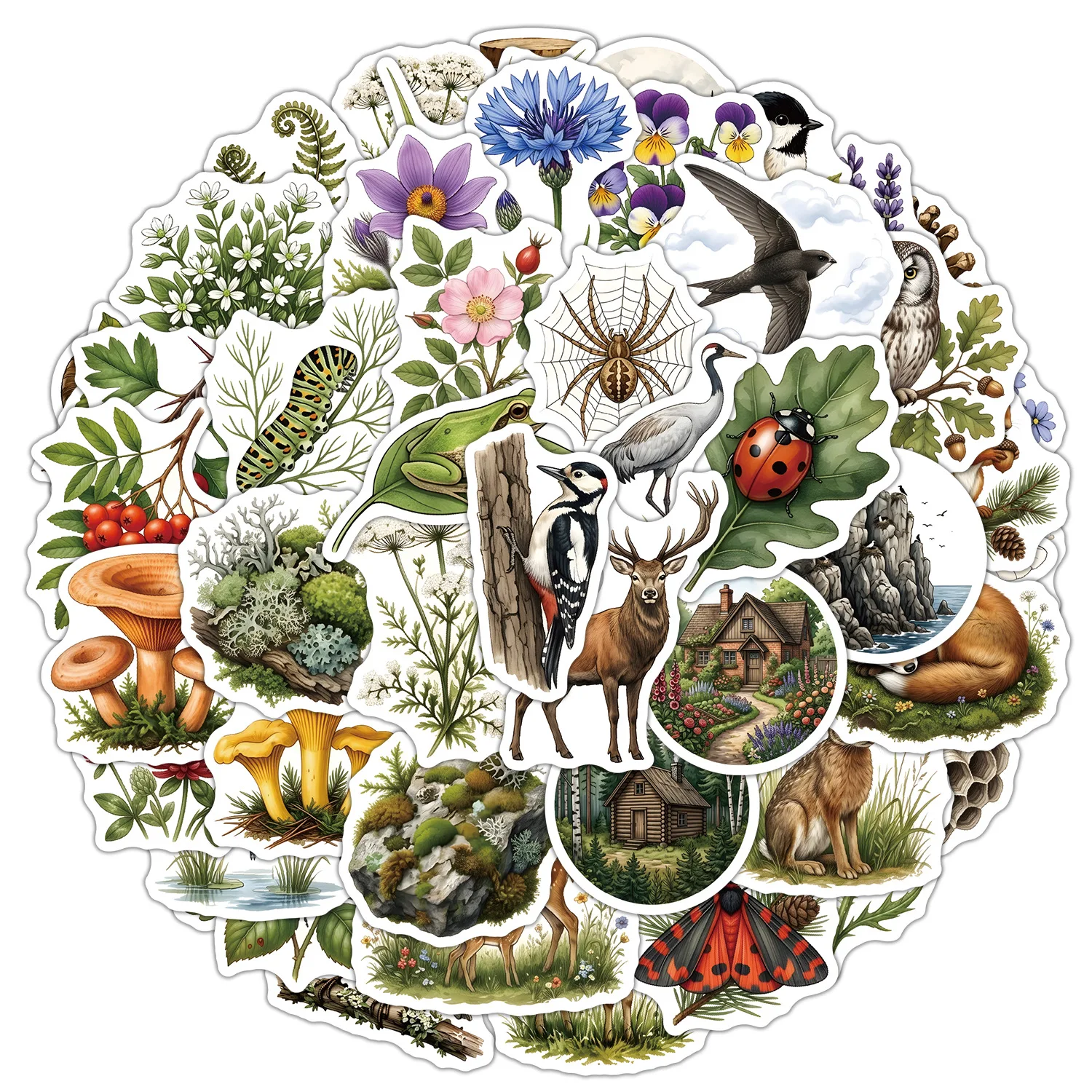 50 PCS Exquisite Plant & Animal Nature Theme Stickers Pack Decorate Luggage Scrapbook Hand Account Removable Decals