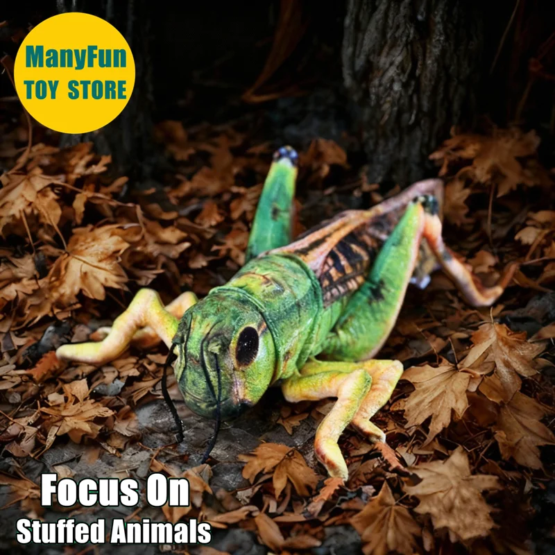 

Реалистичный саранный высококачественный крикет, плюшевая игрушка, реалистичный кузнечик, плюшевая игрушка, кадейд, чучело, кукла, игрушка в подарок