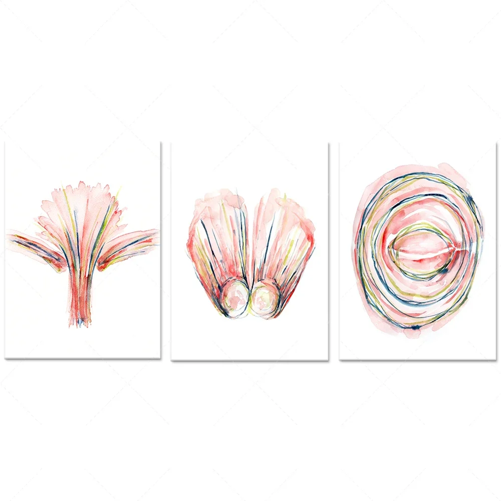 

Muscle Watercolor Prints of Facial Expressions - Cosmetic Plastic Surgery Drawing Anatomy Watercolor Print Poster