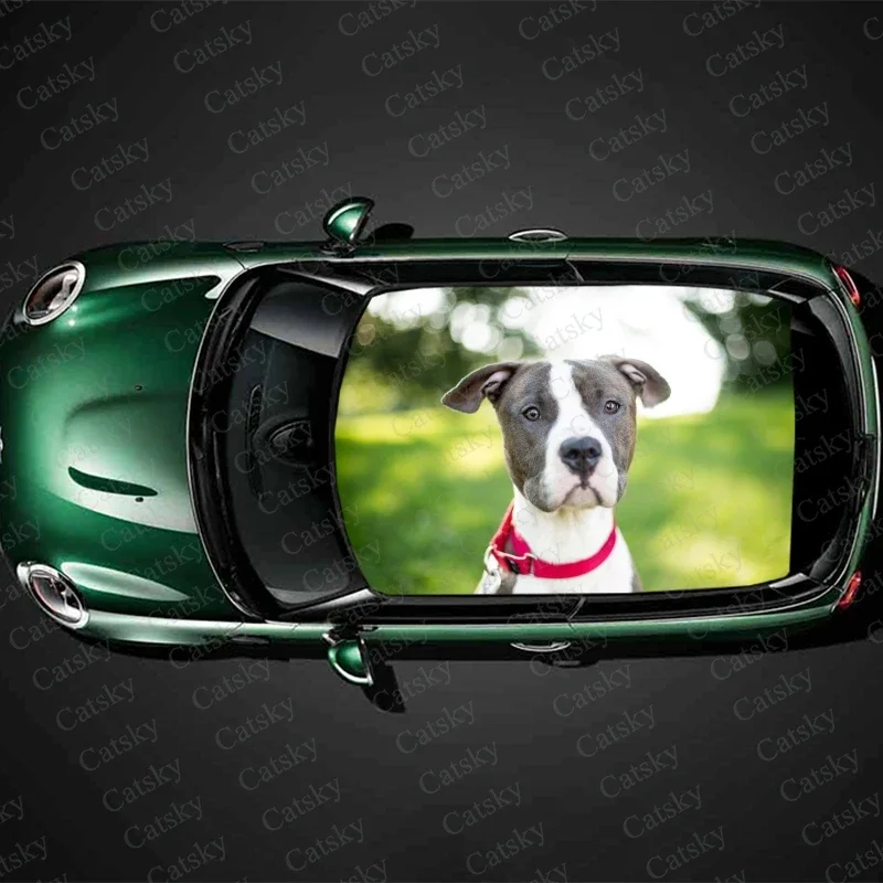 

Американский стаффордширский терьер, наклейка на крышу автомобиля, декоративная пленка, наклейка на автомобиль, виниловая наклейка, графическая пленка, аксессуары для защиты кузова автомобиля