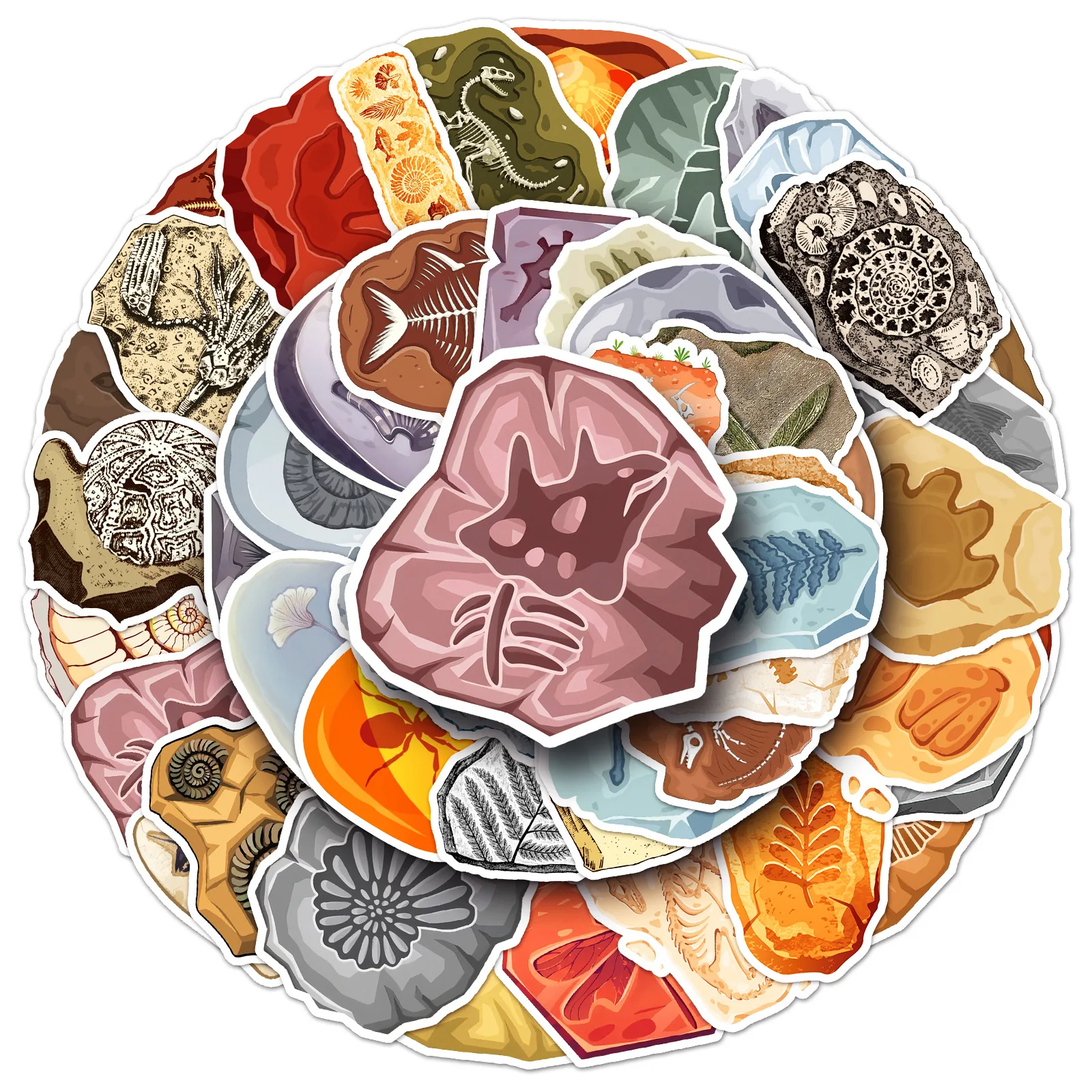 10/50PCS Ammonite Fossil Three-leaf Stone Graffiti Decorative Water Cup Guitar Laptop Waterproof Sticker Kids Toy