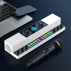 Live Singing Sound Card Audio Machine Indoor Outdoor Square Dance Karaoke Wireless Bluetooth Speaker