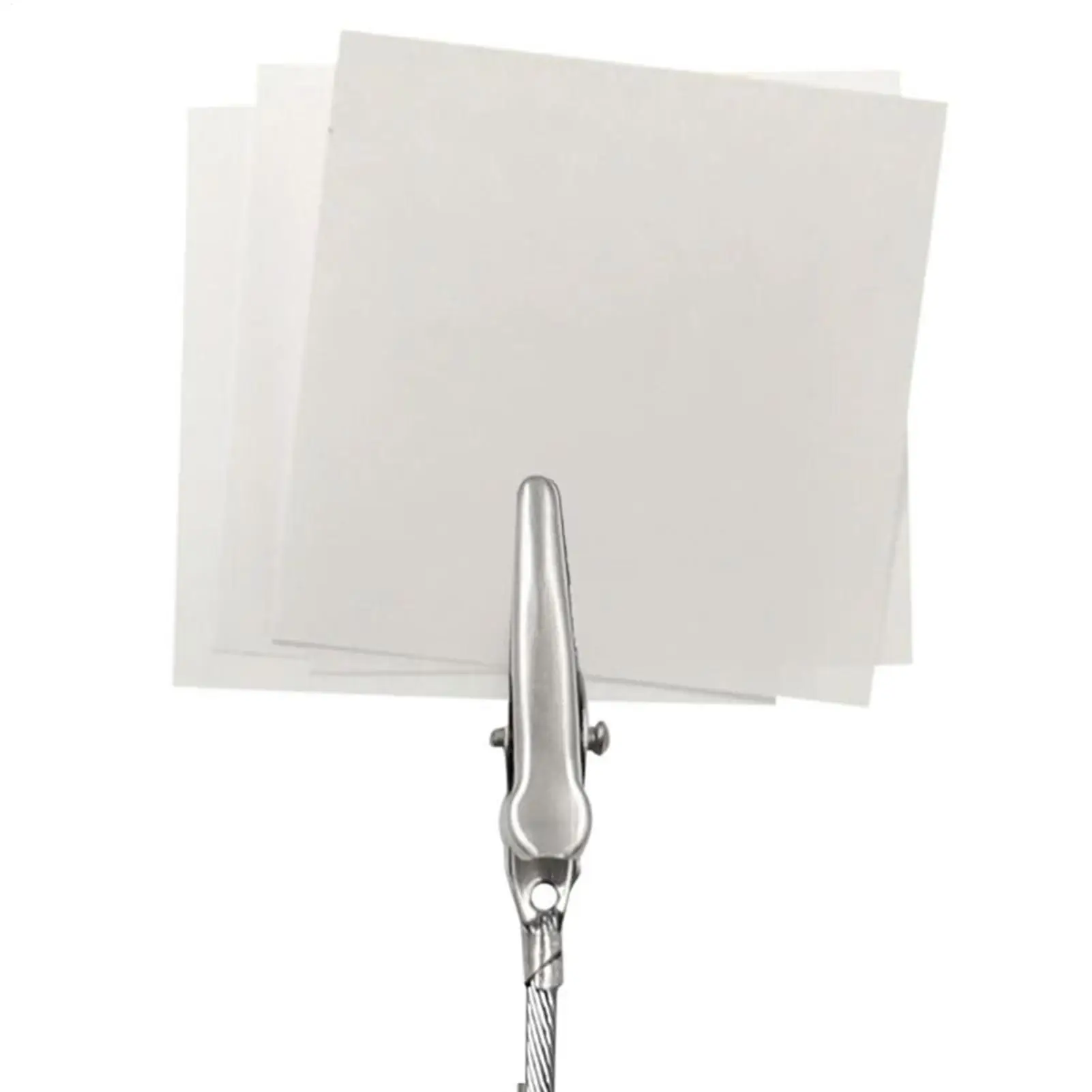 Clip Photo Holders 40 Pieces Long-Tailed Tight Jaw Picture Stakes Photo Clips On Stick For DIY Card Note Postcard Display Office