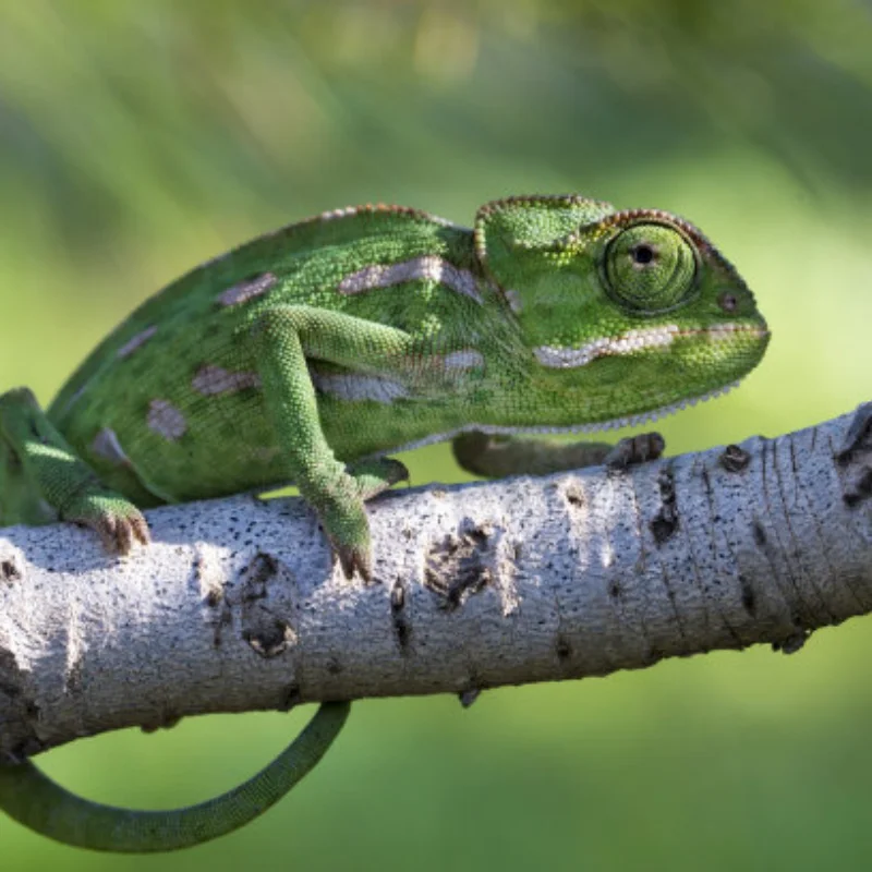 

12428 12423 Комплект обновленных аксессуаров для Feiyue FY03 WLtoys 12428 12423 1/12 Запчасти для радиоуправляемых автомобилей