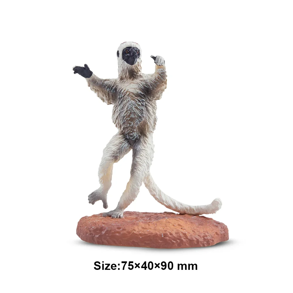 Toymany محاكاة Verreaux سيفاكا مدغشقر نماذج للحيوانات لعبة شخصيات صغيرة دمى عمل التماثيل لعب الأطفال هدية كعكة ديسمبر