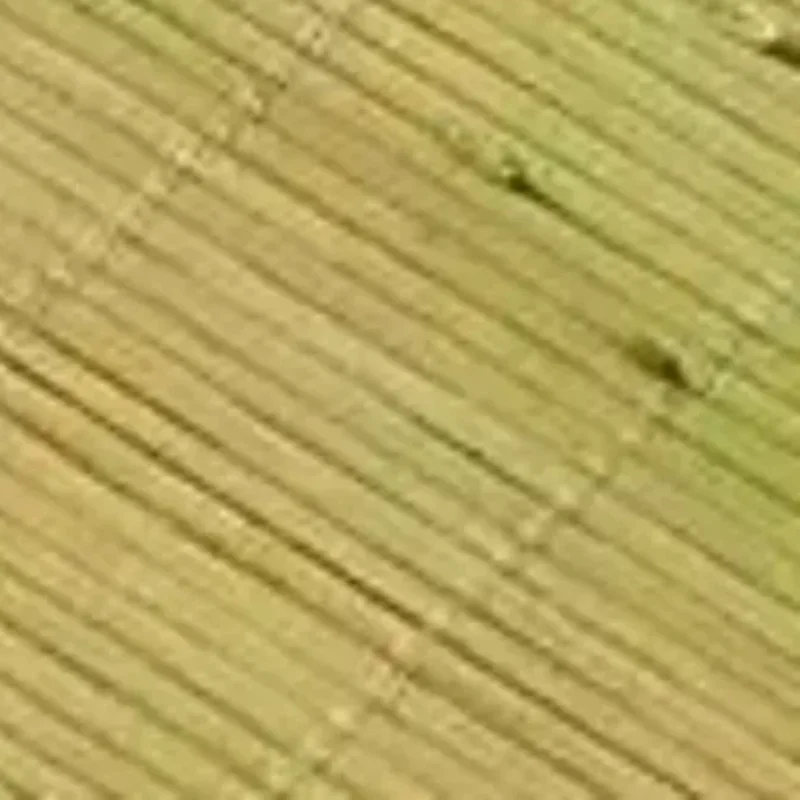 

3pcs/set Reusable Silicone Non-Stick Steamer Liners, Round Steaming Mat For Bamboo Steamer Cooking, Heat Resistant Kitchen