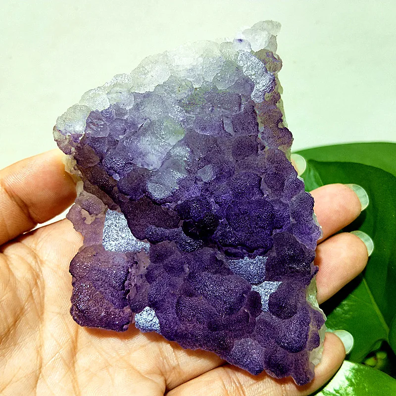 Natural Crystal Purple Scrub Fluorite Specimen Symbiont Meditation Energy Healing Feng Shui Crystal Decoration