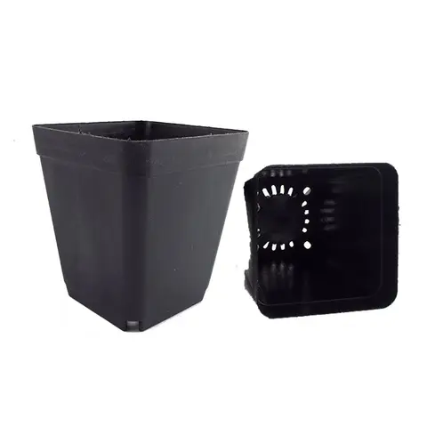 사각형 플라스틱 미니 화분, 다육 식물용 창의적인 소형 화분, 정원 장식, 블랙 색상, 8*7*5 cm Best5 사각형 플라스틱 미니 화분, 다육 식물용 창의적인 소형 화분, 정원 장식, 블랙 색상, 8*7*5 cm Best5