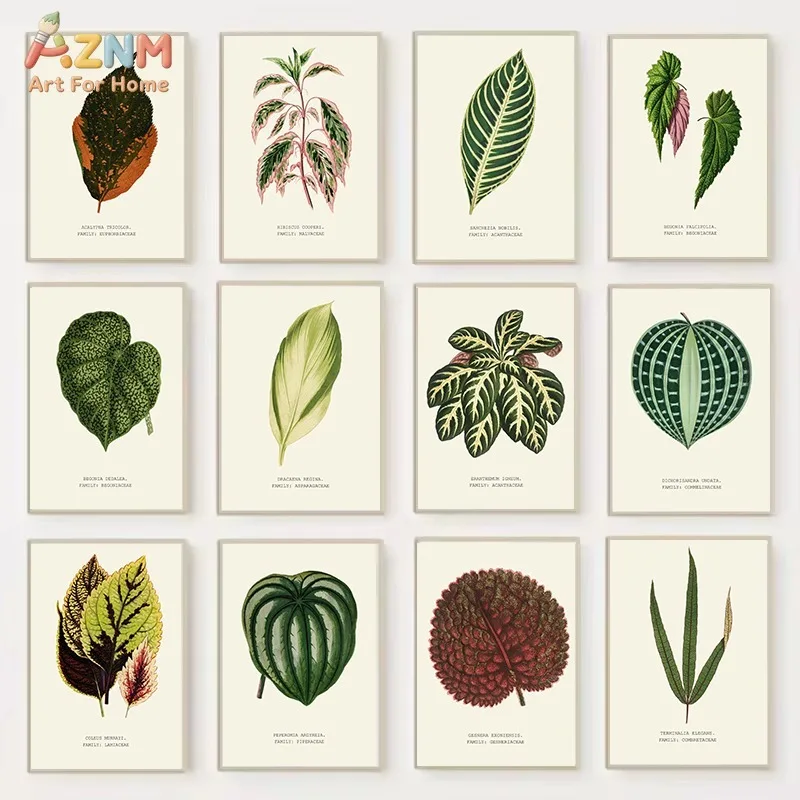 AZNM Vintage Botanical Leaf Canvas Print Antique Tropical Plant Illustration Scientific Latin Name Minimalist Wall Poster Unfram