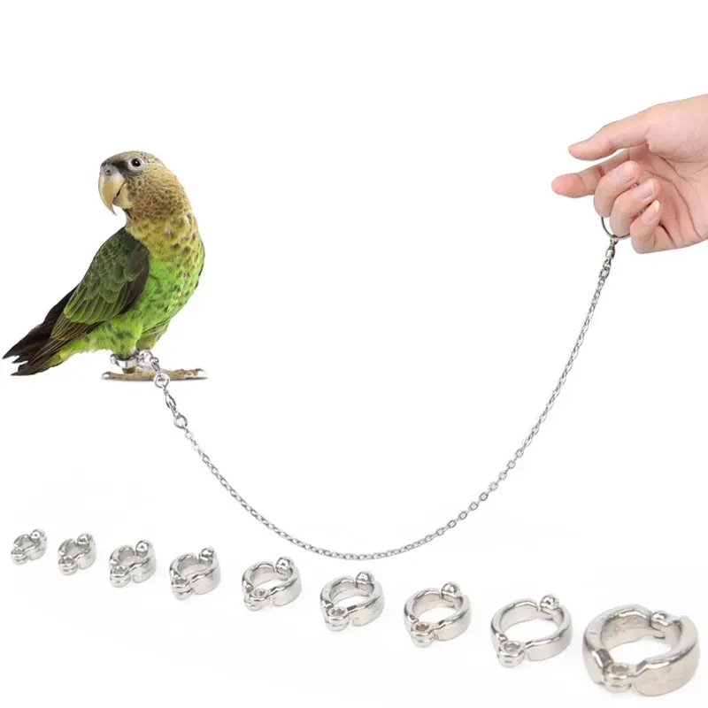 Stainless Steel Parrot Chain Bird Foot Ring Stand Chain Parrot Rope Bird Chain Anti Bite Wire Rope Outdoor Flying Training