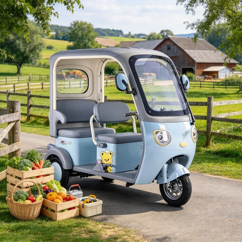New  Quality Assured C standard three wheel electric scooter, reliable safety, household trike, pick up children and carry goods