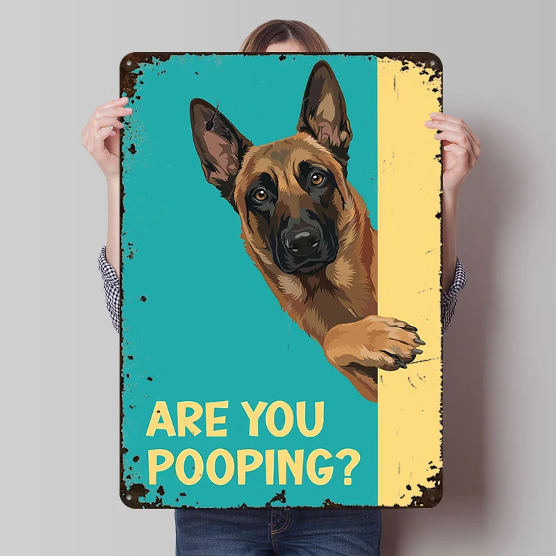 Are You Pooping? Belgian Malinois Tinplate Poster Custom Wall Art Vintage Metal Signs Retro Tin Plaque for Bar Accessories House