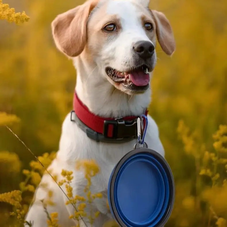2 In 1 Silicone Collapsible Pet Bowl Portable Travel Folding Dog Food Water Bowl Retractable Feeding Dish for Dogs Cats Outdoor