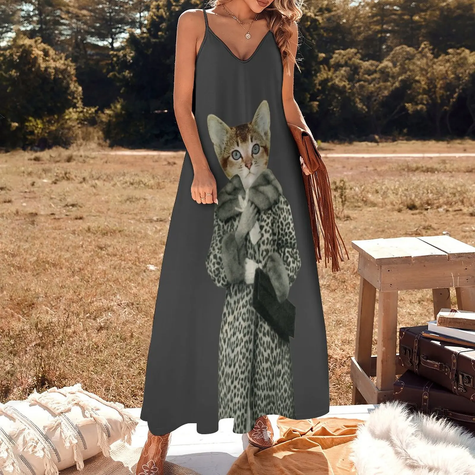 Kitten Dressed as Cat Sleeveless Dress dress summer 2024 women summer dress woman 2024 Summer dresses for women Womens dresses