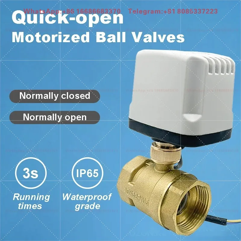 DN15 DN20 DN25 DN40 DN50 Normally Closed/Open Motorized Ball Valve 220V 12V 24V 2-Wire Quick-open Electric Ball Valves 2-wire