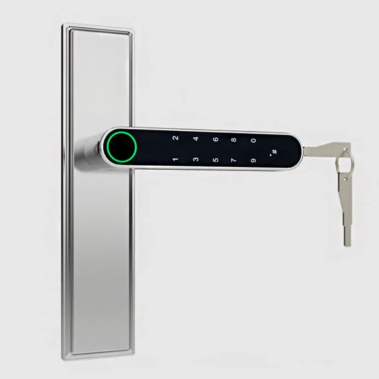 Password Apartment Lock App Remote Control Gateway Smart Door lock IC Card Office House Locks