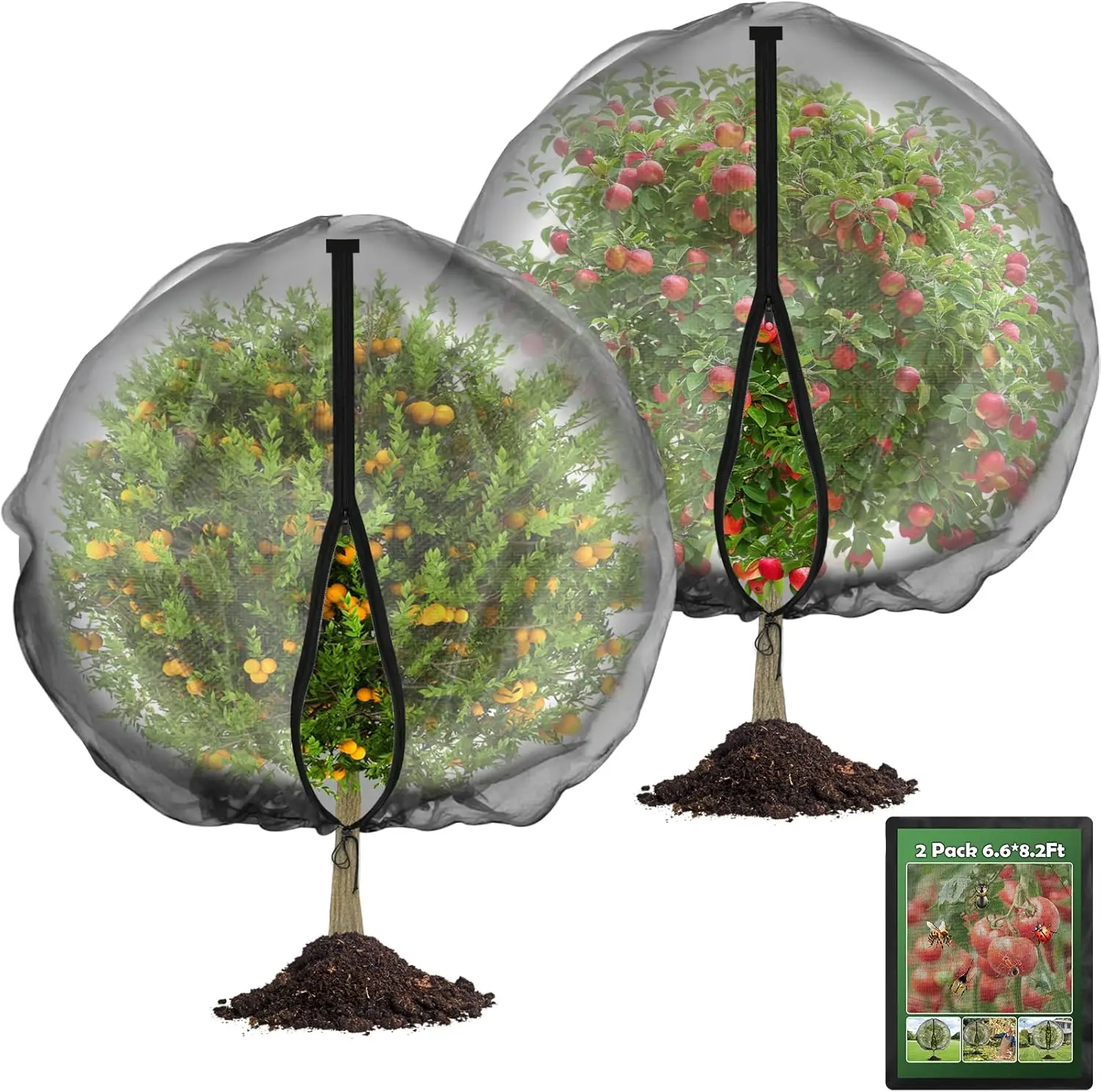 2 Pack Fruit Tree N…