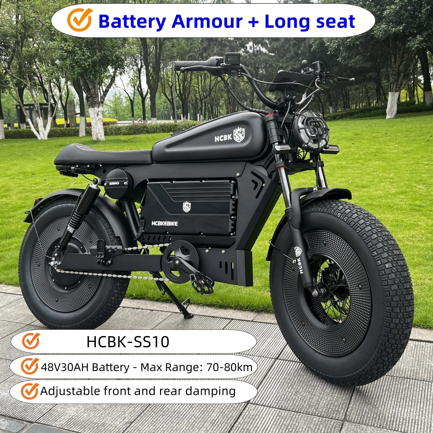 -SS10 20 Inch 3000W Rear Hub Motor US Black Warrior Ebike 30AH/60AH Lithium Battery 140KM Electric Off-road Mountain Bike