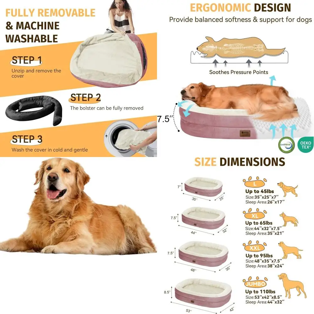 Large Orthopedic Do…