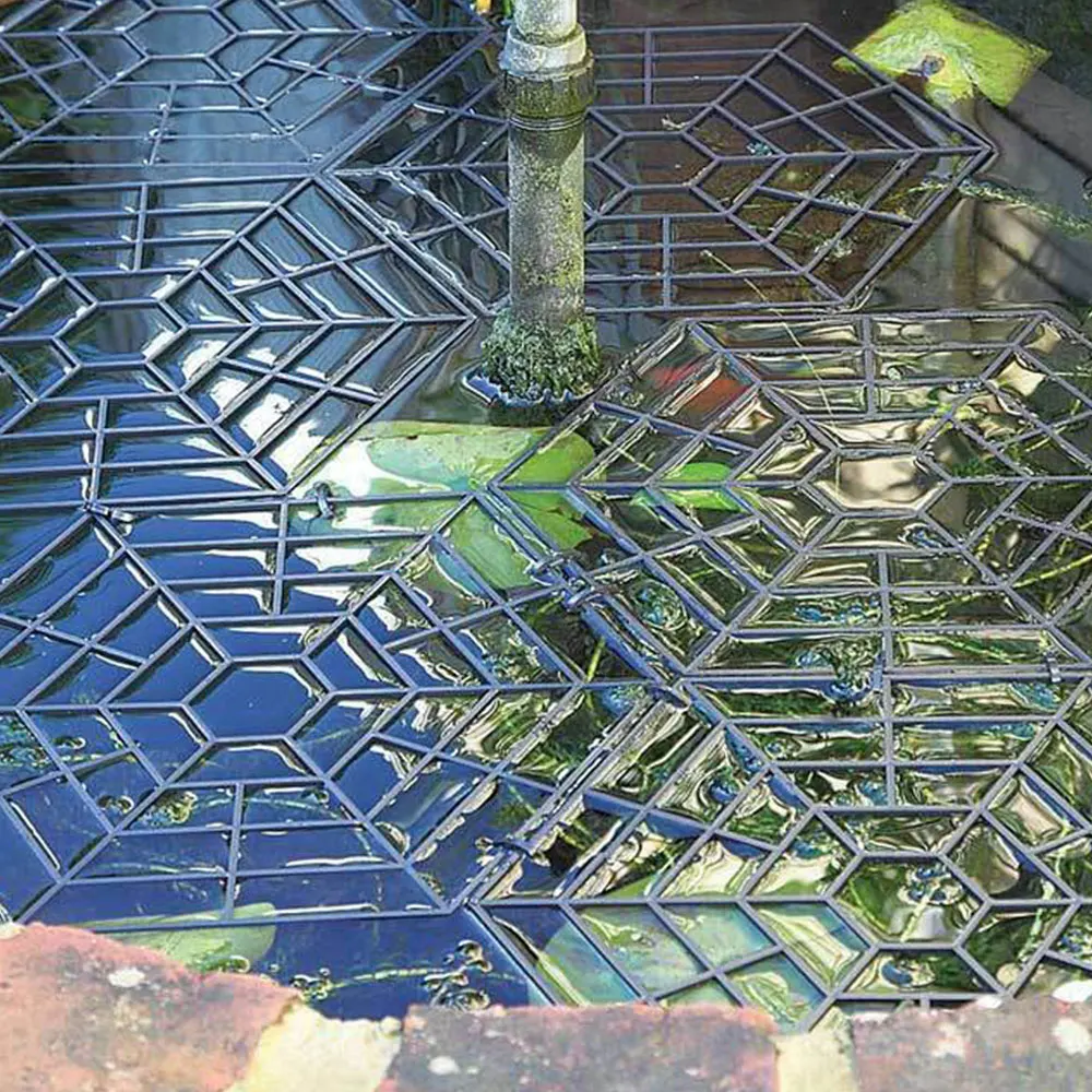 Thumbnail 2 - #61 Popular Ponds Choices