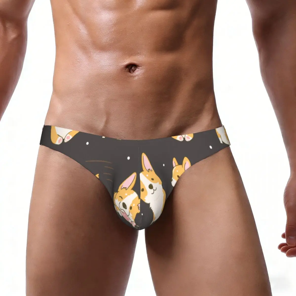 Men's Panties Man Briefs Cute Corgi Dogs In Various Poses Sexy Underwear Male Bikini Underpants