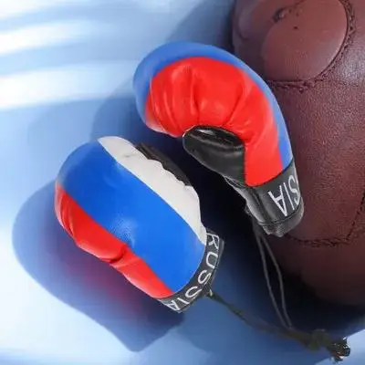 

2pcs Mini Boxing Gloves Keychain Car Rearview Mirror Ornament Punching Gloves Hanging Charm Decor For Car Interior Door Home