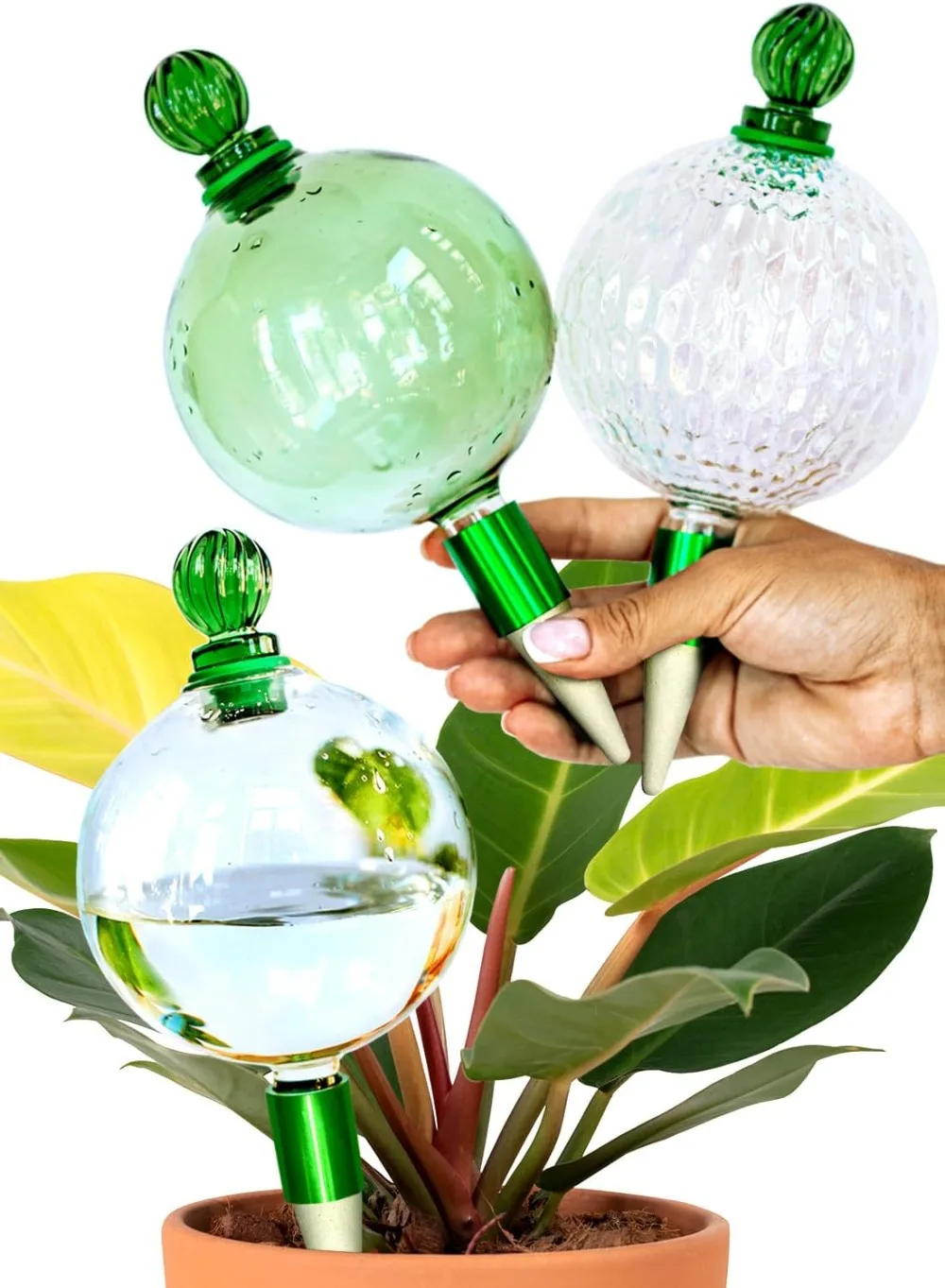 

Plant Watering Globes With Terracotta Self Watering Planter Insert Glass Self Watering Globes For Indoor Plants