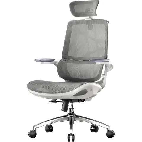 SIHOO M59AS Ergonomic Office Chair, Desk Chair with Dual Back Design & Adaptive Dynamic Lumbar Support, 3D Flip-Up Armrests