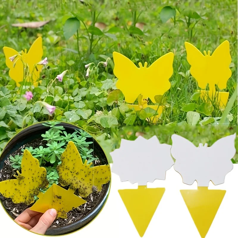 Eliminate Pests Instantly - Sticky Traps for Fungus, Fruit Fly, Mosquito & Bug Control Indoor & Outdoor
