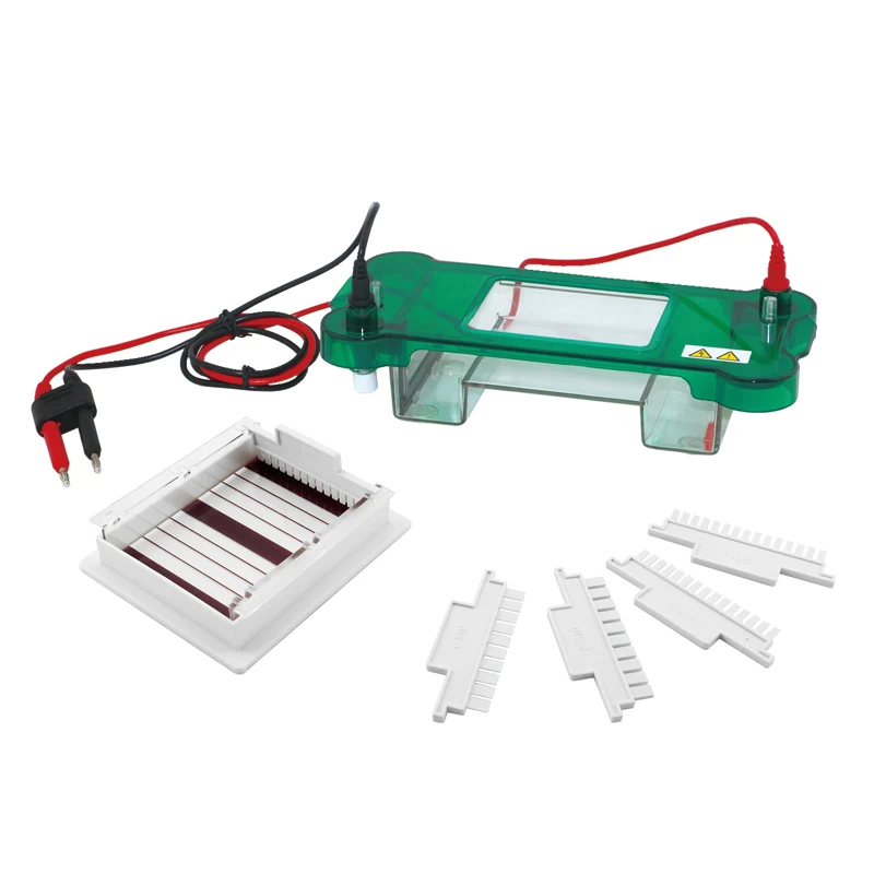 Clinical Analytical Instruments Horizontal Electrophoresis Cell Clinic Electrophoresis Cell Tank Transfer