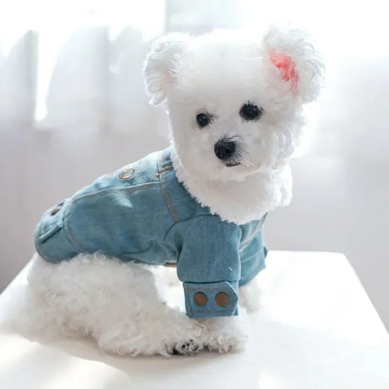 Letter Embroidered Dog Clothes Denim Apparel Suit XS XL Pet Jeans Thicken Down Coat With Fur Collar And Lining French Bulldogs 2