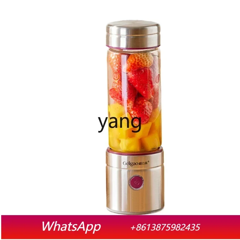 

LH Small Portable Household Multifunctional Fruit Fryer Wireless Juicer