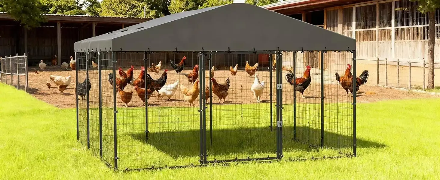 chicken kennel